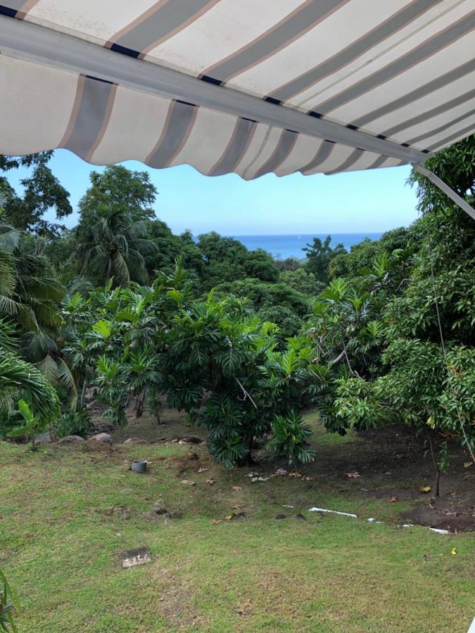 Coco-Mango Apt C Deshaies Bagian luar foto